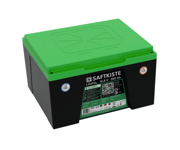 SAFTKISTE LiFePO4-Batterie 300 - 300Ah - mit Bluetooth und Dual BMS